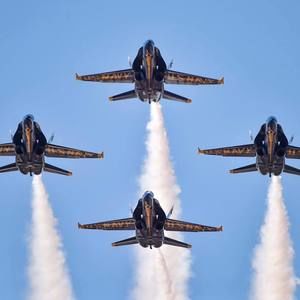 Meet your Posher, Tina